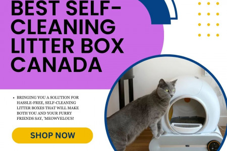Discover the Best Self-Cleaning Litter Box in Canada for a Cleaner Home Infographic