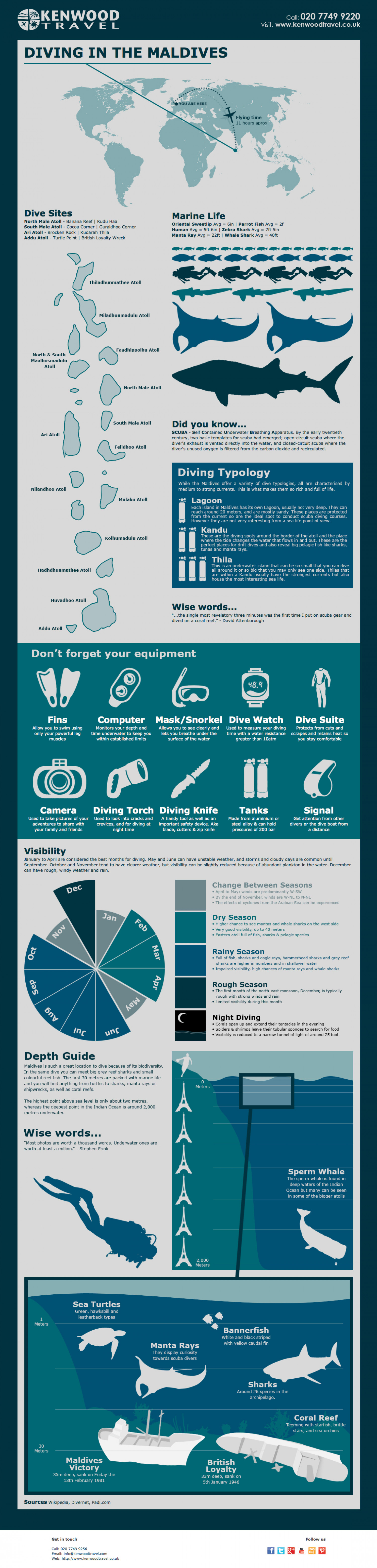 Diving in the Maldives Infographic