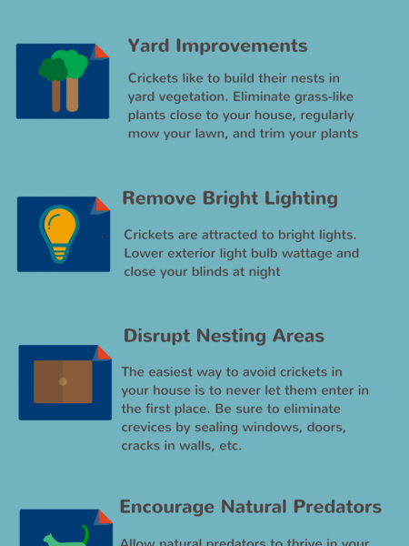 DIY: Ways to Prevent Crickets Infographic