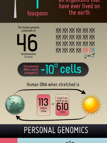 DNA, Human genome, Personal genomics Infographic