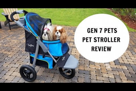 Dog Stroller Infographic