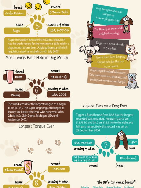 Dog World Records Infographic
