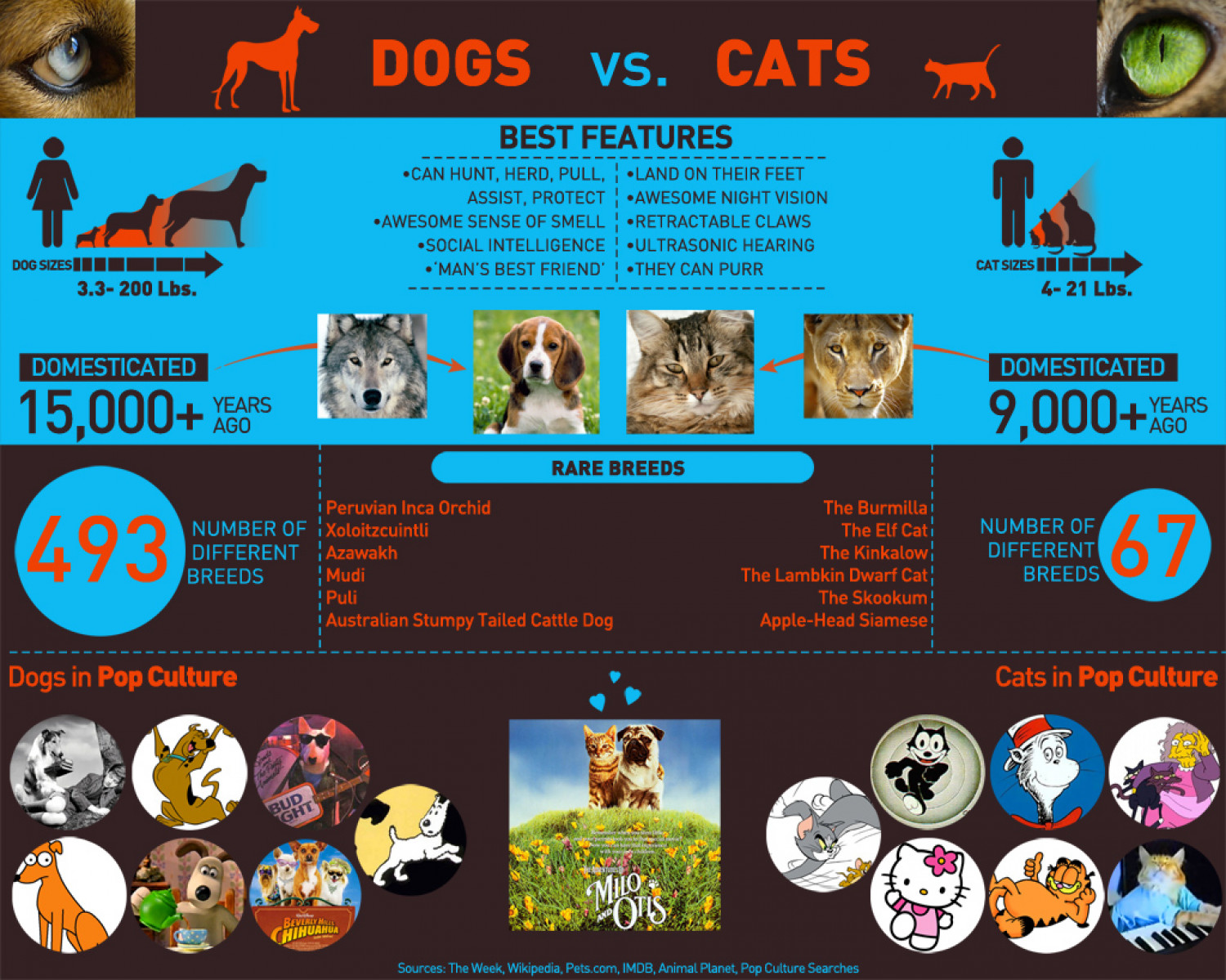 Dogs vs Cats Infographic