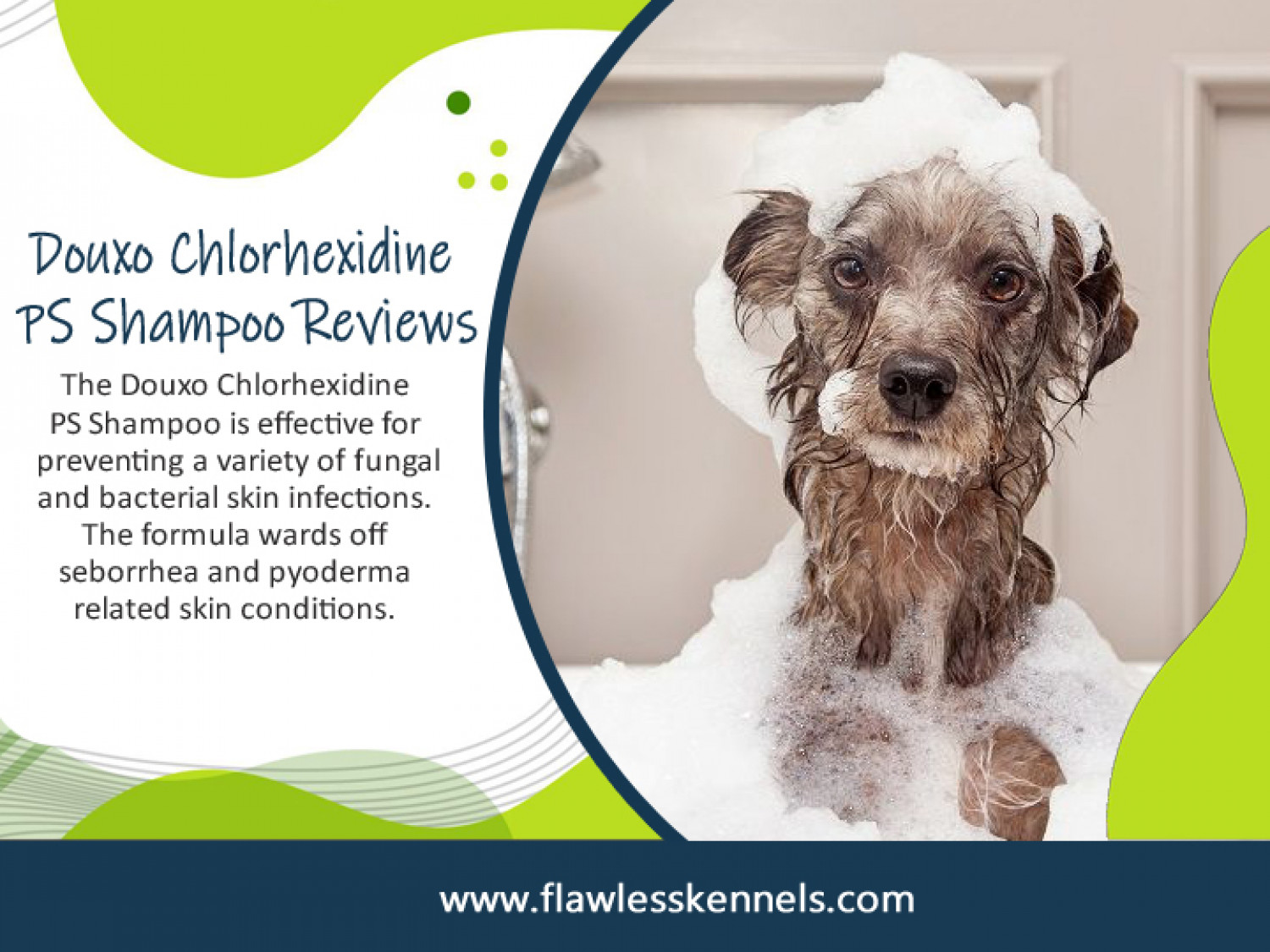 Douxo Chlorhexidine PS Shampoo Reviews Infographic
