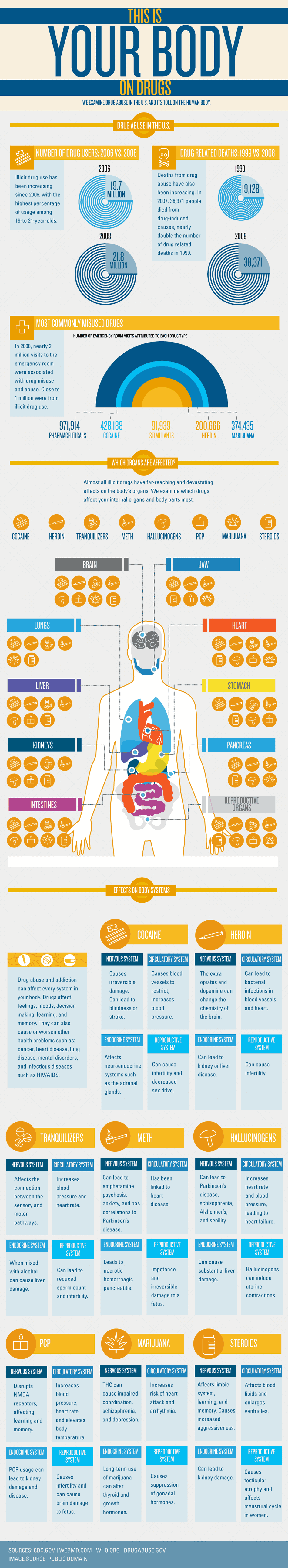 Drug Abuse and Your Body: Exposed Infographic