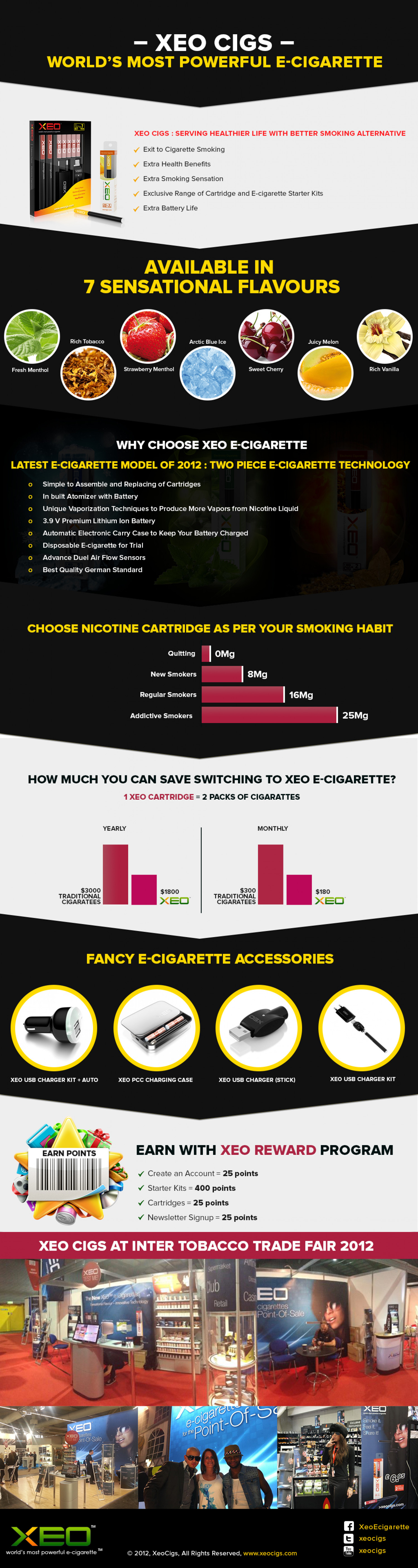 E-cigarette : Better Smoking Alternative Infographic