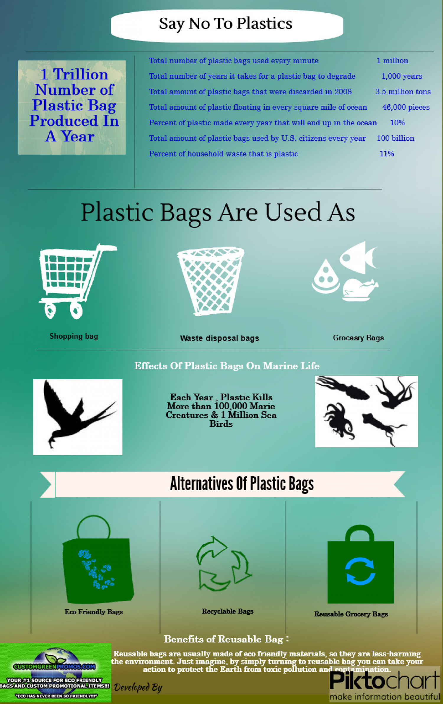 Eco Friendly Bags Infographic