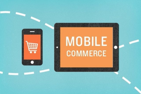 Ecommerce Tips: Mobile Commerce - Application or Mobile Website?  Infographic
