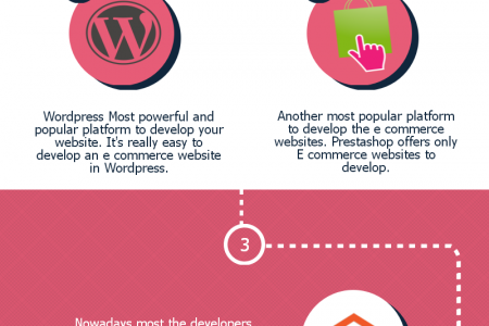 Ecommerce Website Development in Punjab Infographic