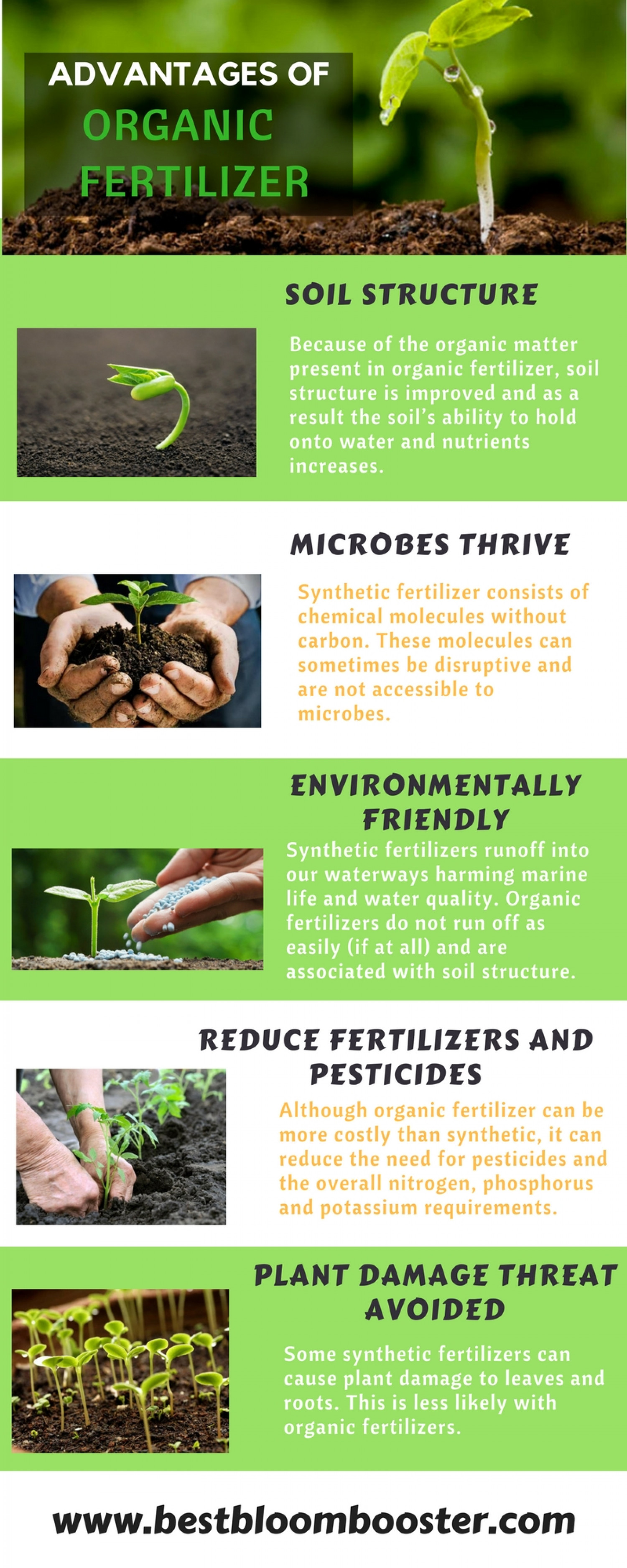 Effective Benefits Of Organic Fertilizer Infographic