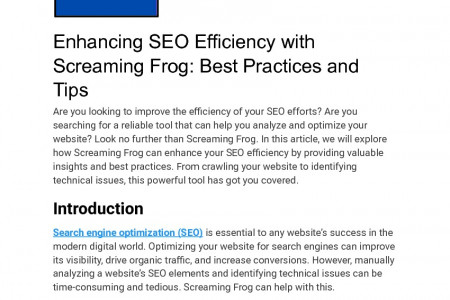 Enhancing SEO Efficiency with Screaming Frog: Best Practices and Tips Infographic