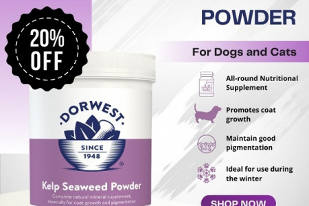 Enjoy 20% Off on Dorwest Kelp Seaweed Powder for Dogs & Cats!! Infographic