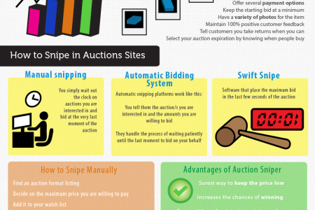 Enjoying Bargains From Online Auctions Infographic