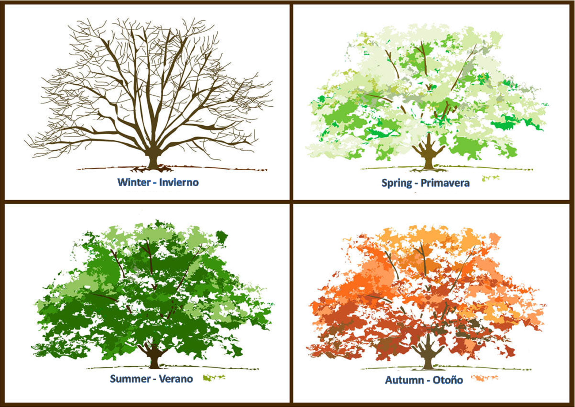 Времена года на английском языке для детей. Карточки с изображением времени года. Времена года на дереве. Дерево всех времен года.