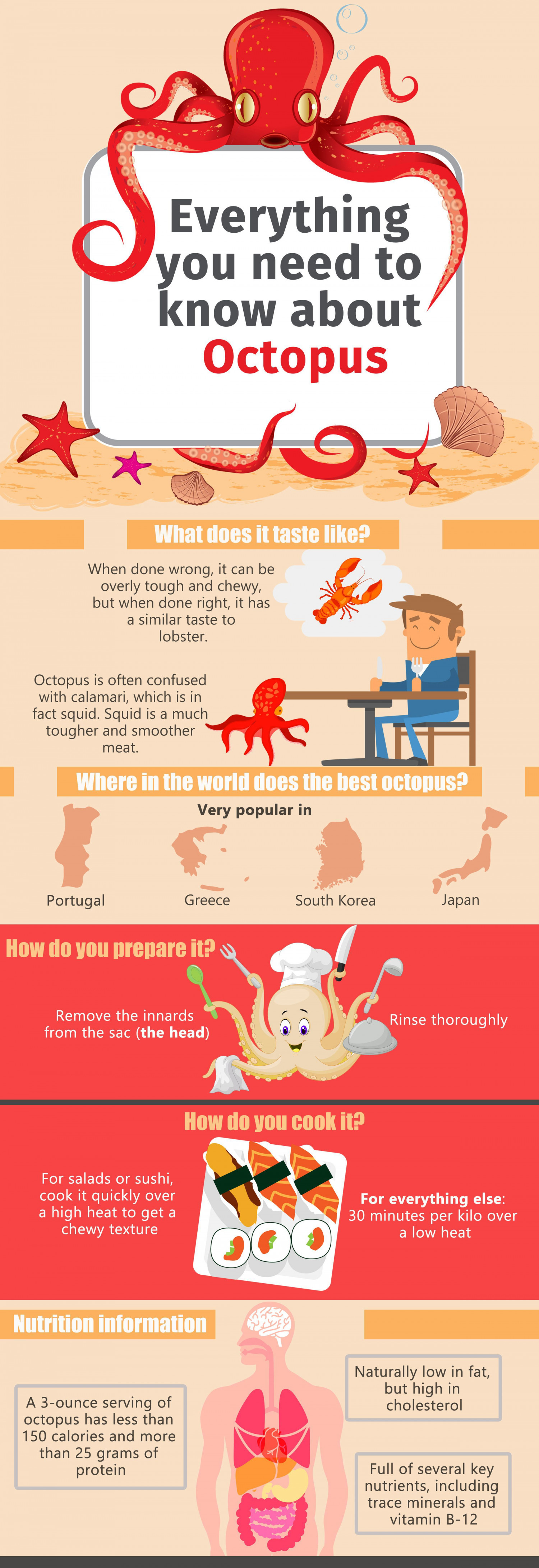 Everything You Need To Know About Octopus Infographic