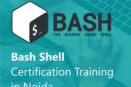Exclusive Bash Shell Scripting Course in Noida at Training Basket Infographic