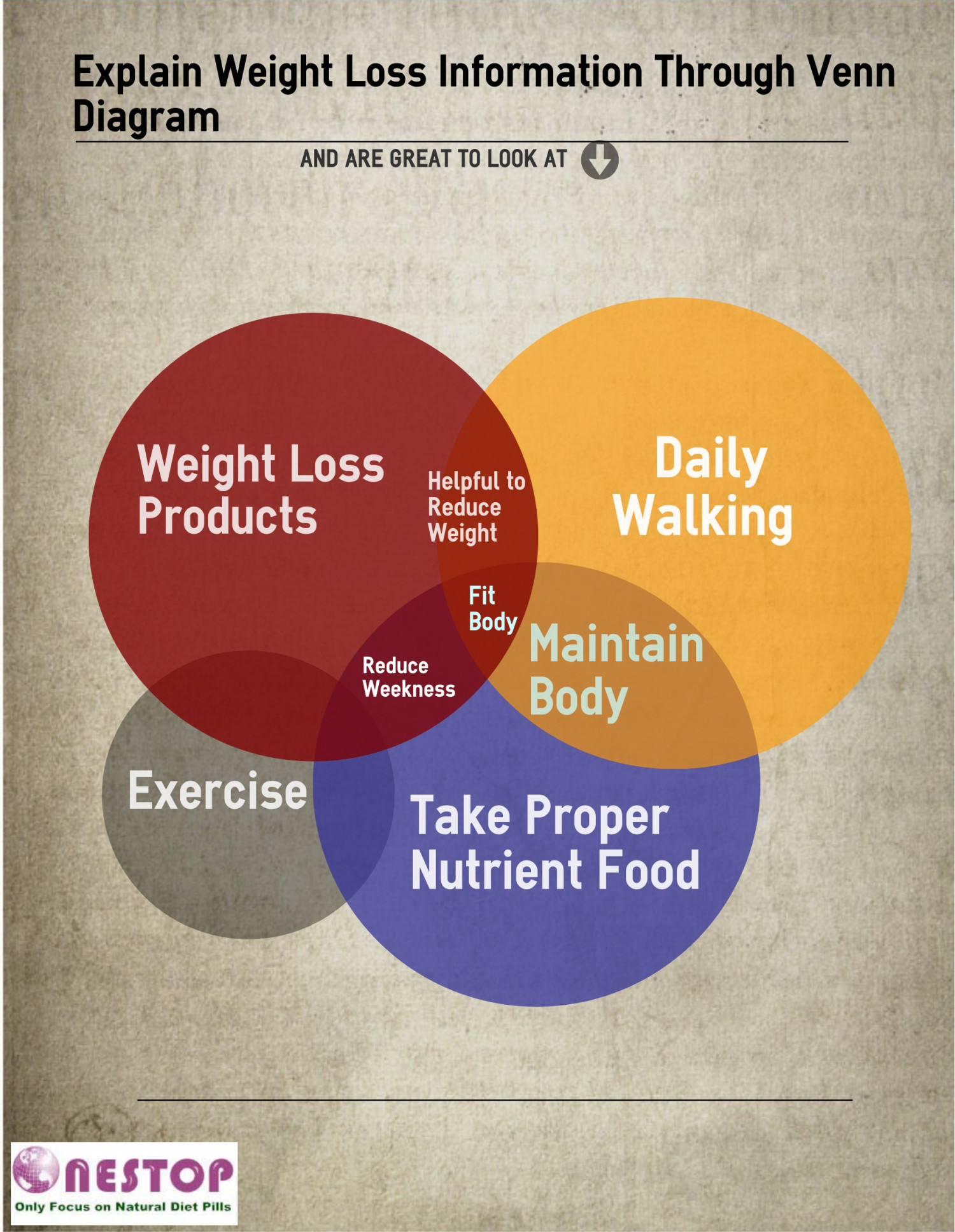 Explain Weight Loss InformationThroughVenn Diagram Infographic