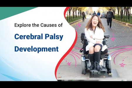 Explore the Causes of Cerebral Palsy Development | What You Don't Know About Cerebral Palsy? Infographic