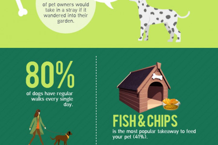 Facts About Pet Owners Infographic