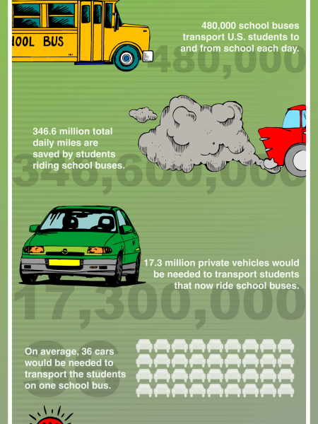 Facts about School Buses Infographic