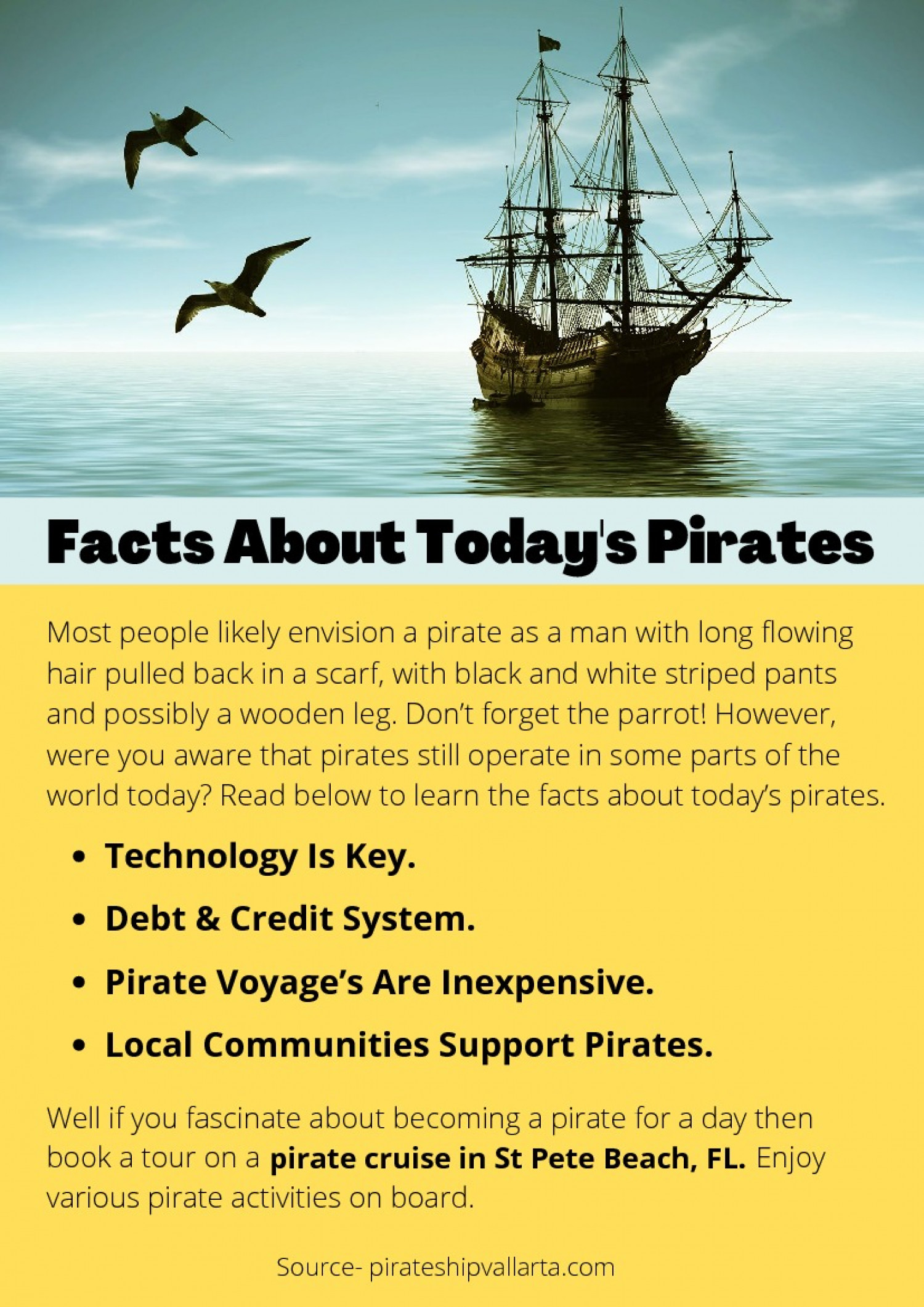Facts About Today's Pirates Infographic