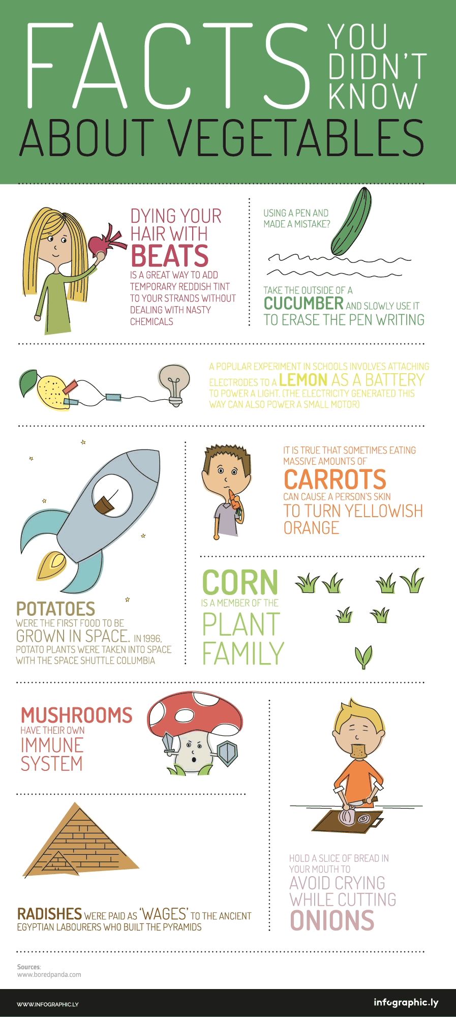 Facts About Vegetables Infographic