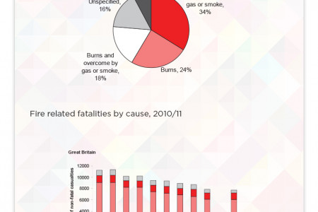 Facts on Fire Infographic