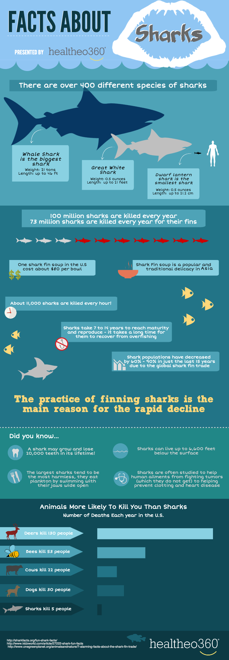 Shark Finning - The Facts Behind The Cruelty #Infographic - Visualistan