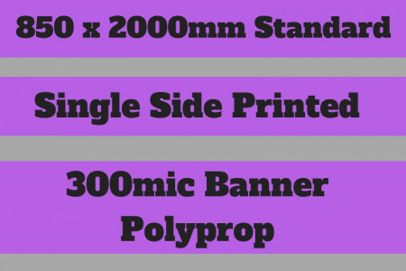 Features of Roller Banners in London UK Infographic