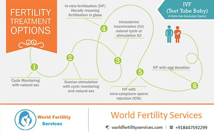 Fertilityivf Treatment Options In India Visually 