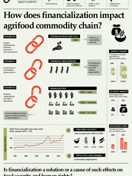 Finance and Agrifood Commodity Chain Infographic