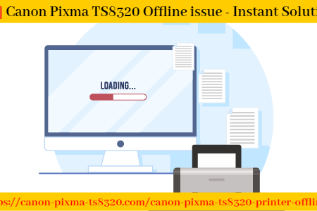 [Fix] Canon Pixma TS8320 Offline issue – Instant Solution  Infographic
