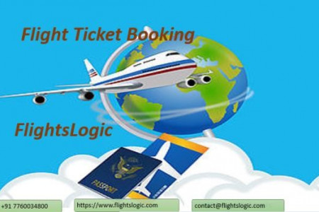 Flight Ticket Booking Software  Infographic