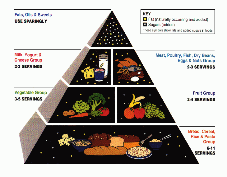 Food Guide Pyramid Infographic
