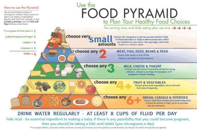 Food Pyramid Infographic Infographic