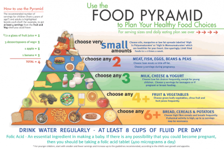 food pyramidrr Infographics  Visual.ly