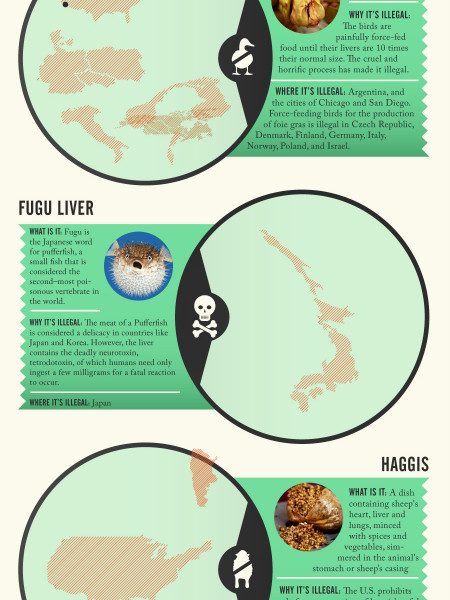 FORBIDDEN FRUIT and OTHER ILLEGAL EATS Infographic