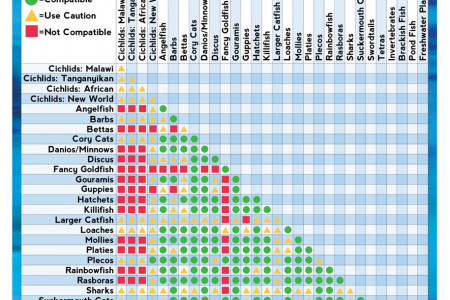 Freshwater & Brackish Fish Compatibility Chart Infographic