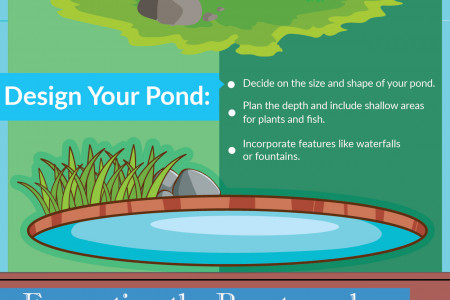 From Muddy To Marvelous: Building The Perfect Pond Infographic