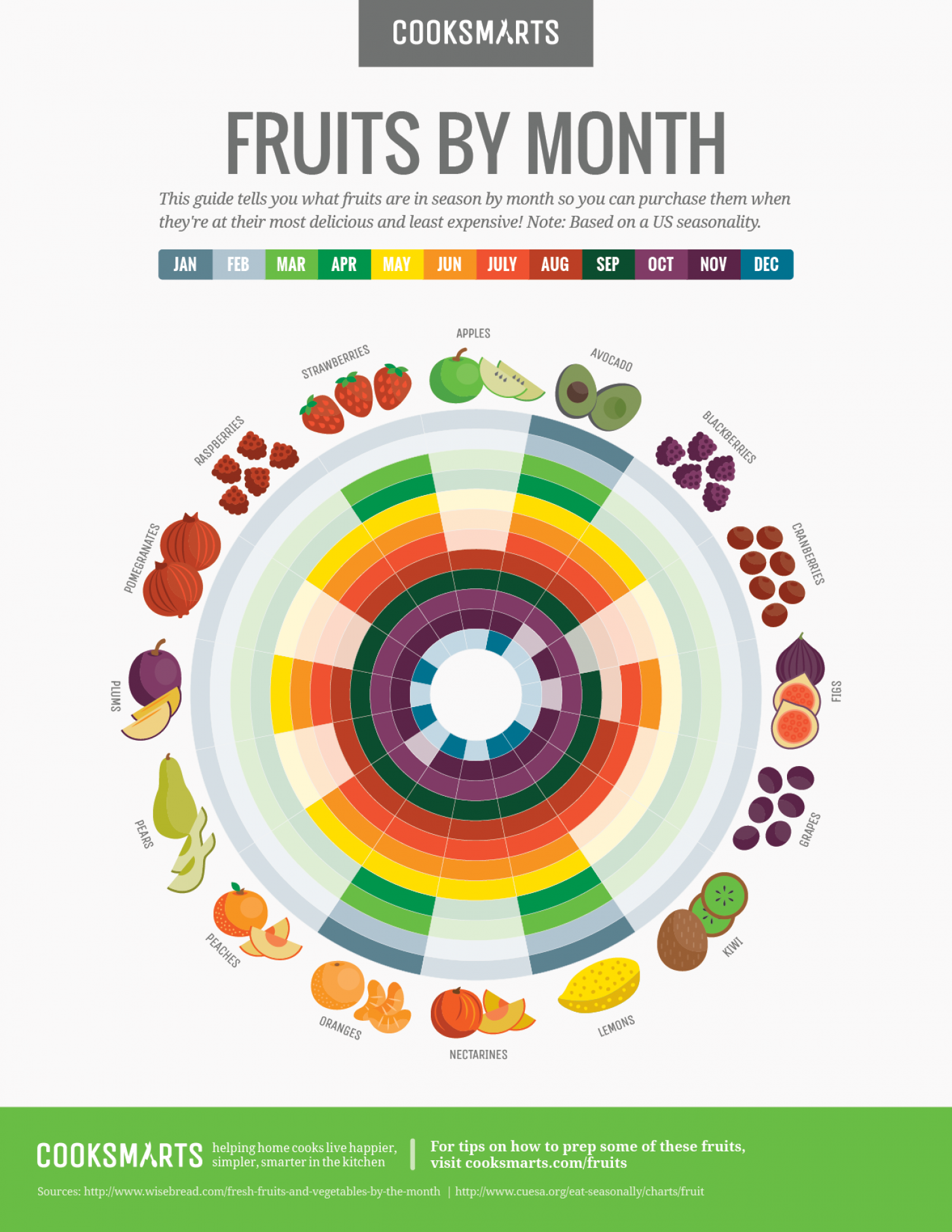 Fruits by Month Guide Infographic