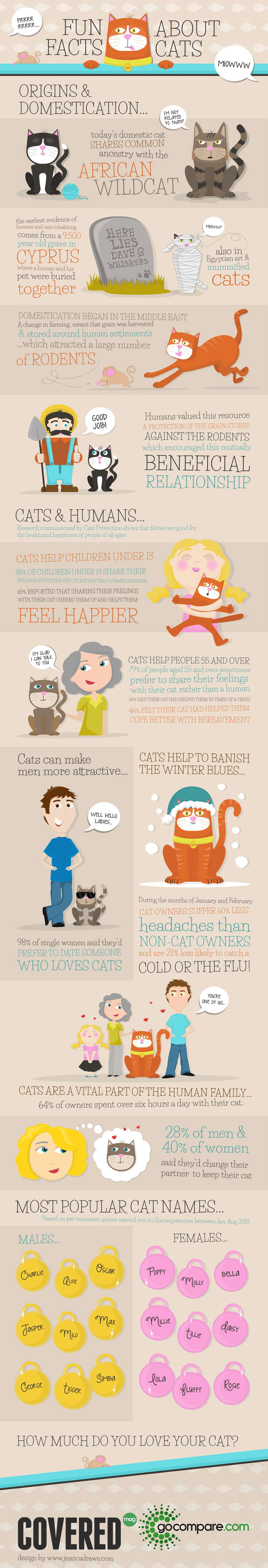 Fun Facts About Cats | Visual.ly
