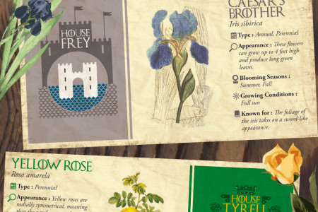 Game Of Thrones House Flowers Infographic