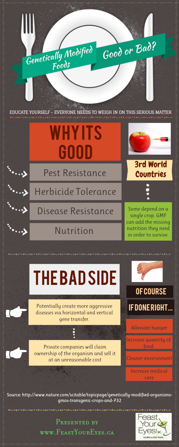 Genetically Modified Foods Good Or Bad Visually 1493