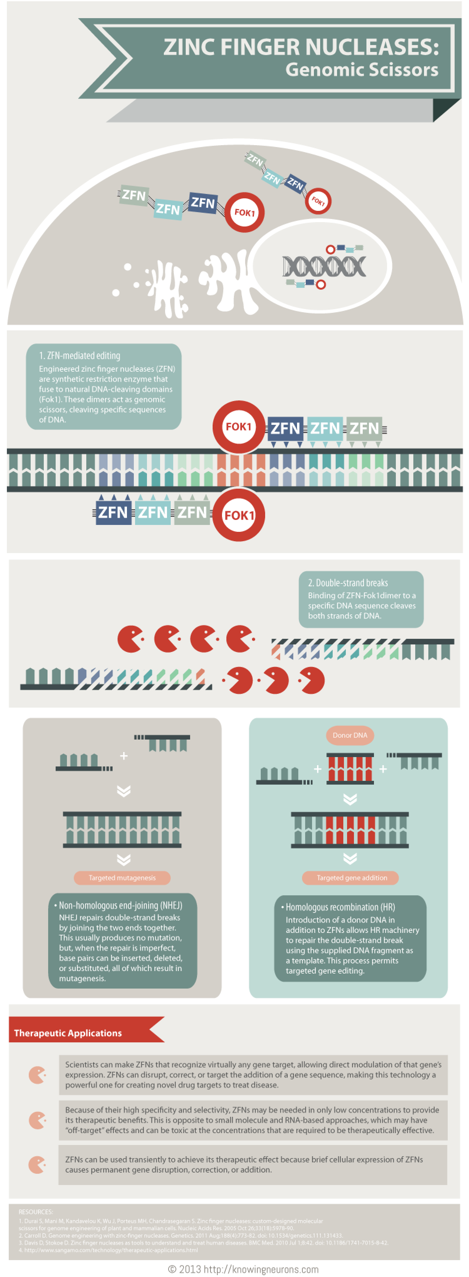 Genomic Scissors Infographic