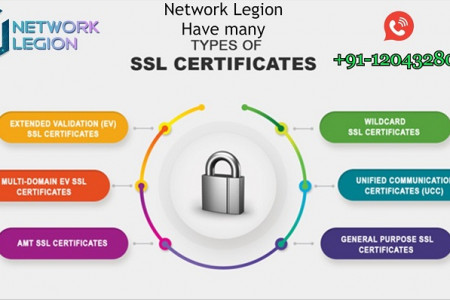 Get Best SSL Certificates By Network Legion at a Low Price  Infographic