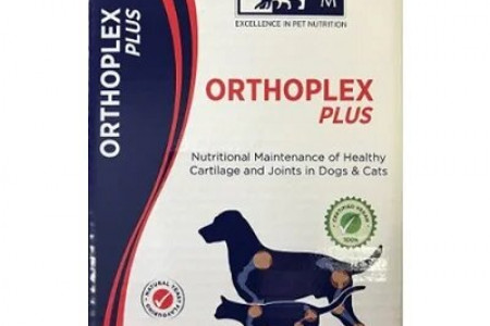 Get Orthoplex Plus (Joint Supplement) for Dogs & Cats on Sale Price Infographic