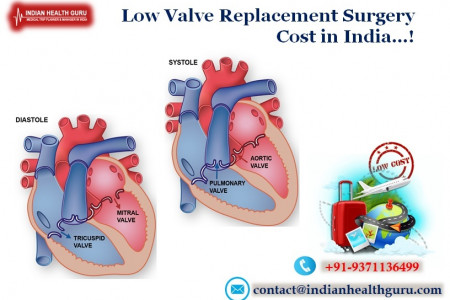 Get Relief From Heart Valve Diseases With Best Hospitals For Valve Replacement India Infographic