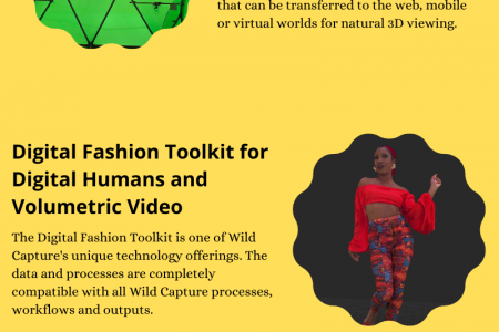 Get Top- Quality Virtual Production Services at Wild Capture Infographic