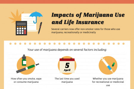 Getting High on Insurance Infographic