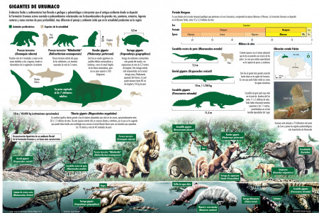 Gigantes de Urumaco Infographic